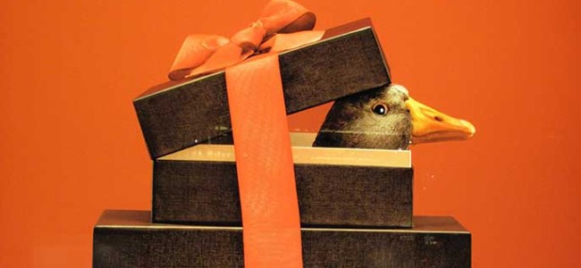 5 Gift Giving Ideas With a Conscience for the Holidays