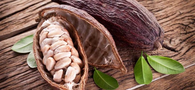 The Flavors of Cacao