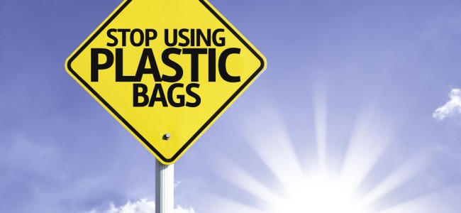 How To Ditch The Plastic Bags