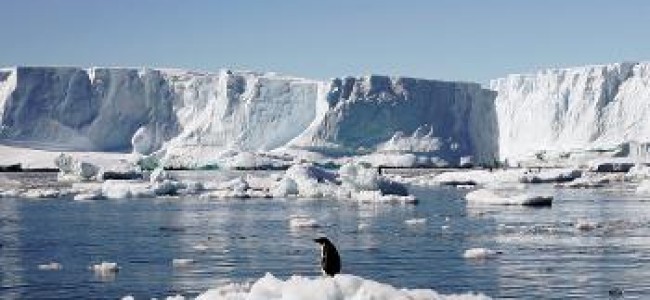 More Bad News From Antarctica: Study Shows Increase In Ice Shelf Thinning