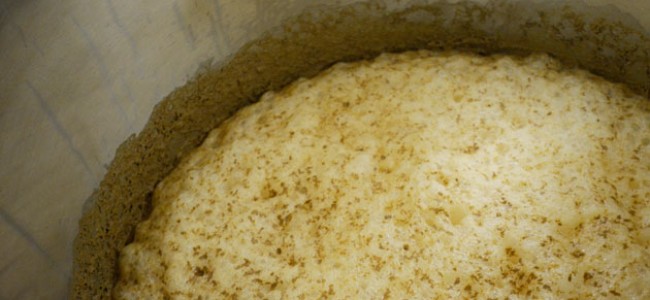 Brewing Sour Beers: A Kettle Souring Primer
